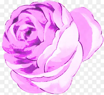 手绘紫色玫瑰主题