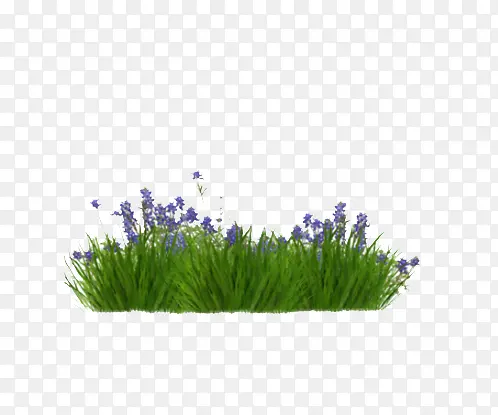 绿草紫花