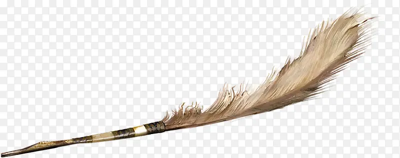 欧式棕色羽毛笔