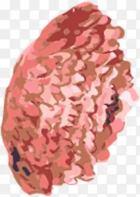 手绘花卉X展架展板
