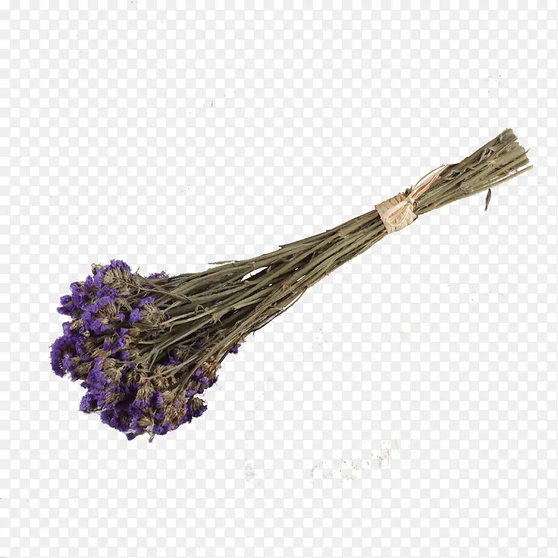 紫色薰衣草