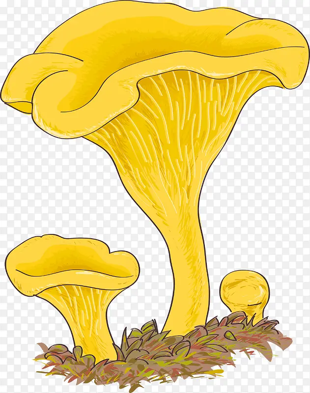 菌菇类