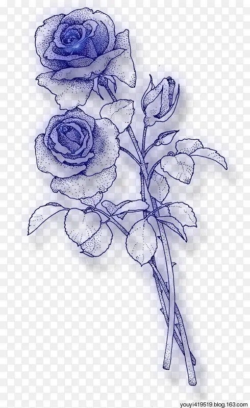 蓝色玫瑰简笔画