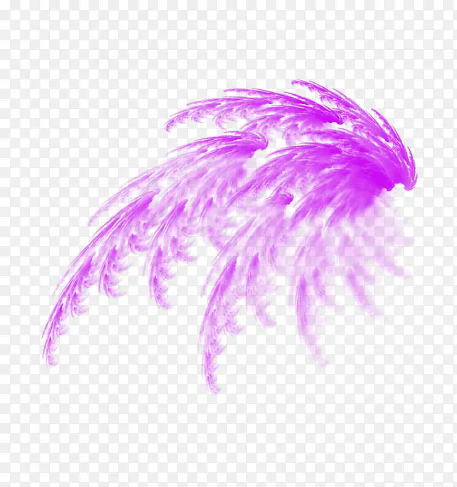 紫色手绘羽毛