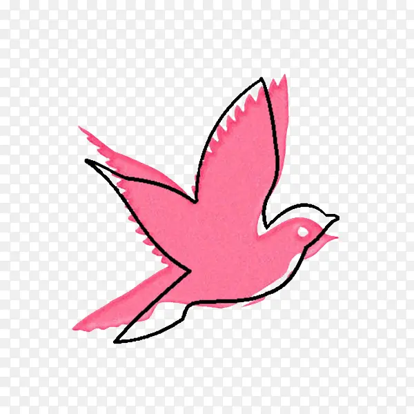 粉色的飞鸽