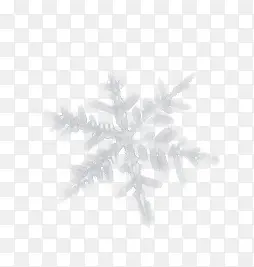 塑料质感抽象雪花