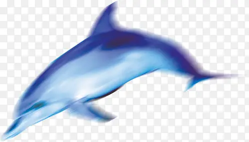 卡通游动的蓝色海豚