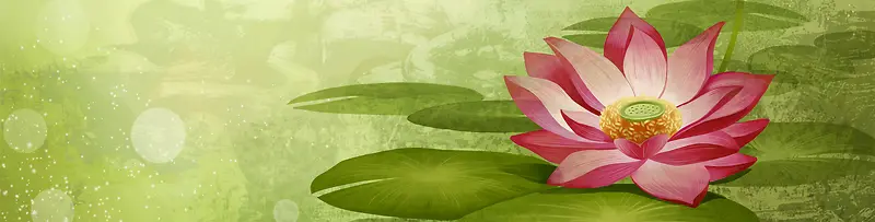 高清炫彩花卉banner　