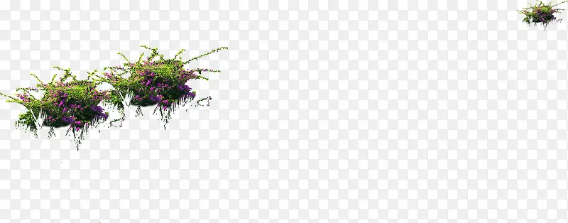 高清花卉植物形状摄影