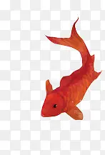 红色的鲤鱼