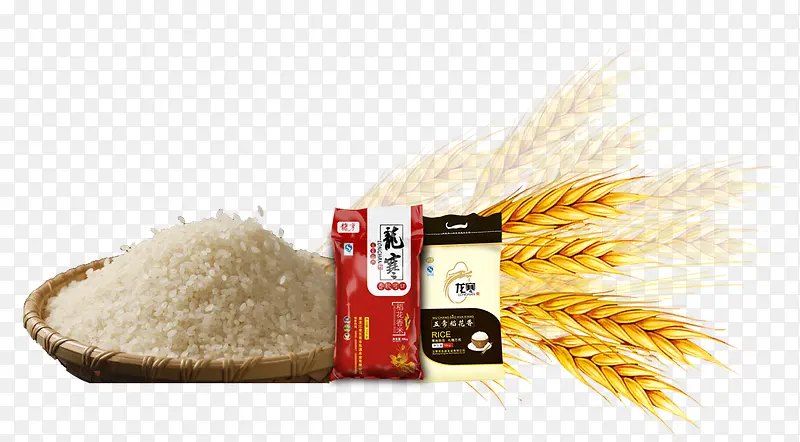 大米小麦大麦稻谷