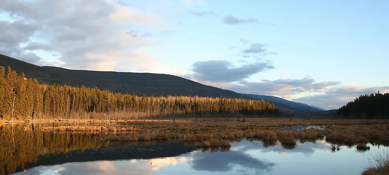 唯美风景背景