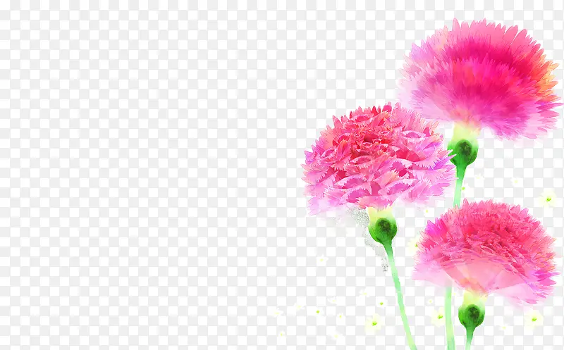 手绘粉色节日温馨康乃馨