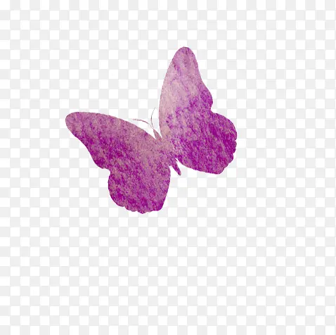 紫色蝴蝶图案插画