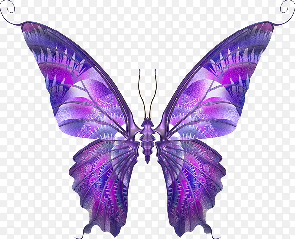 紫色复古翅膀蝴蝶