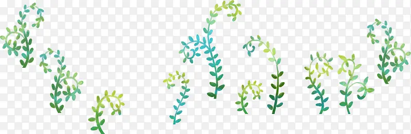 蓝色绚丽植物花草