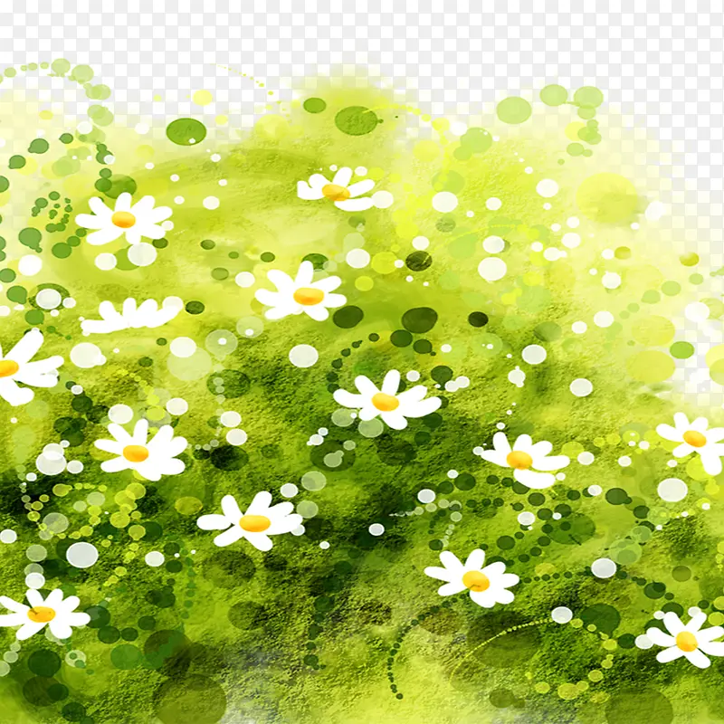 彩绘野菊