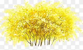 黄色枫树彩绘高清