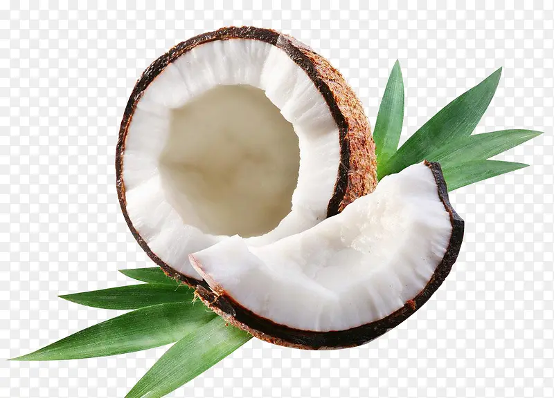 椰子壁纸墙纸素材