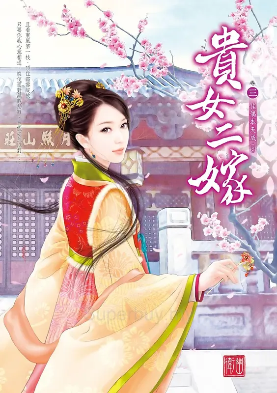 贵女二嫁小说封面