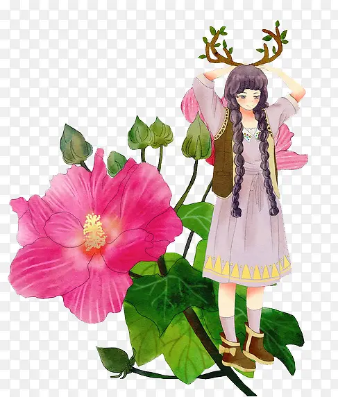 插画木芙蓉故事
