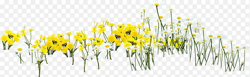 黄色春天草地手绘