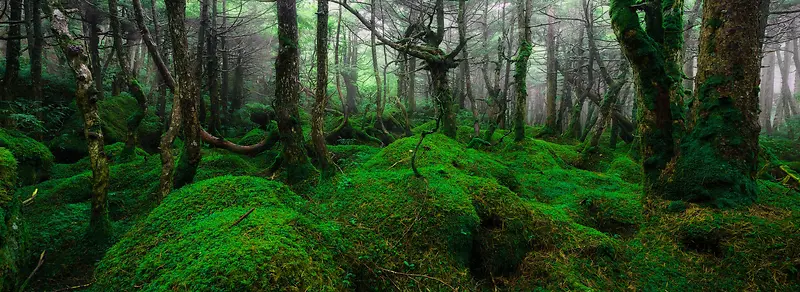 自然美景