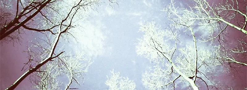 自然美景