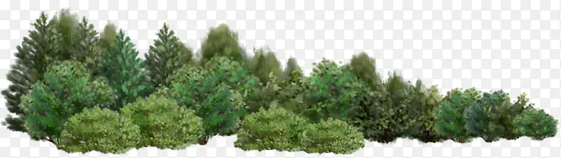 手绘美景景观植物