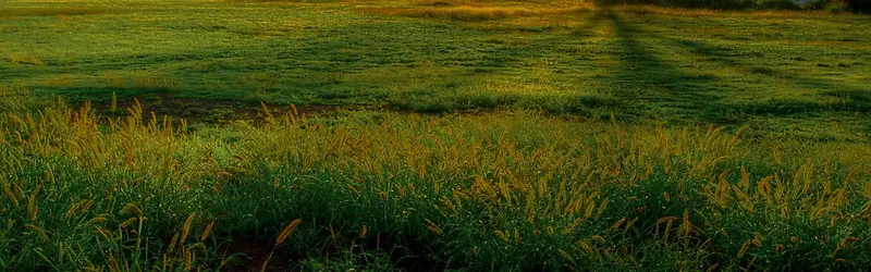 水边美景