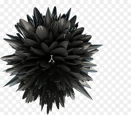 黑色花