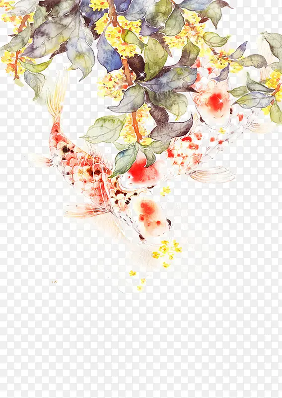 锦鲤