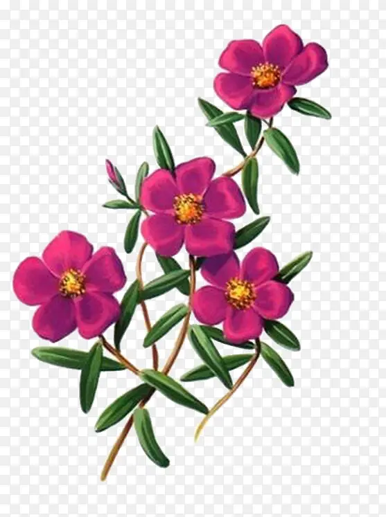 刺绣花