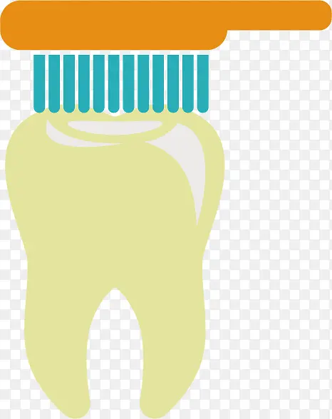 牙科洗牙清洁形象图