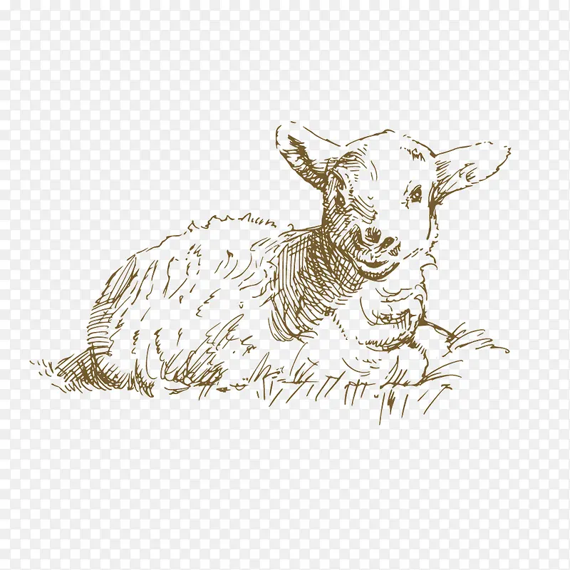 矢量卧着的小绵羊手绘