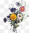 鲜花图户外展示区