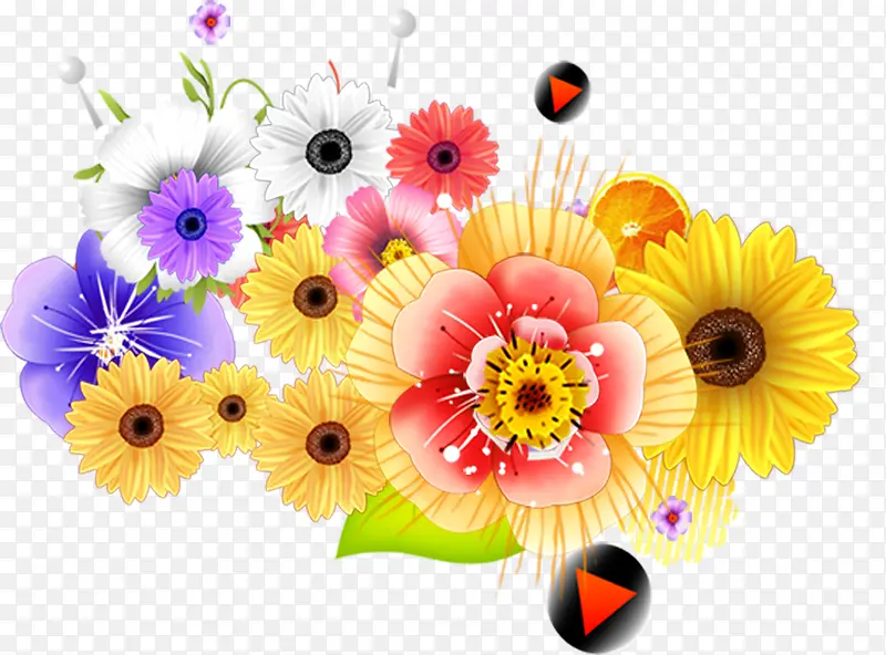 夏日海报植物花朵设计效果