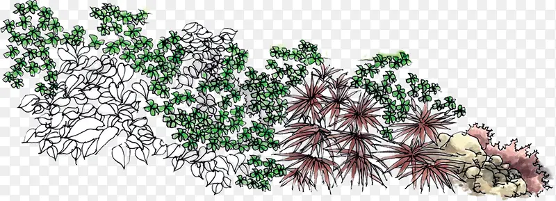 手绘植物花朵景观