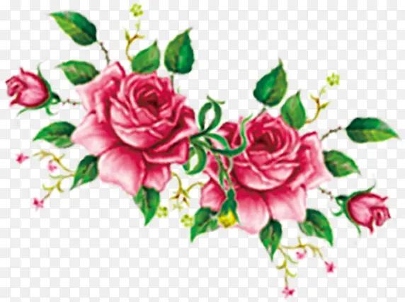 婚礼手绘花朵植物