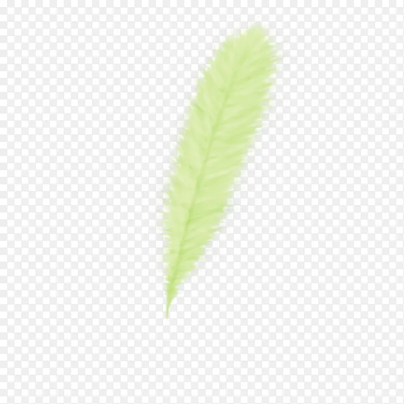绿色蓬松羽毛