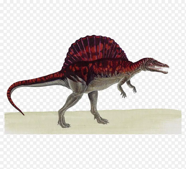红色脊背恐龙