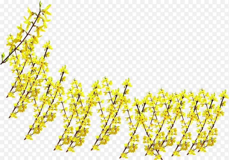 黄色小花栅栏装饰