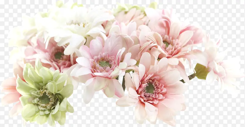 高清粉色简约花朵