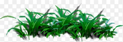 绿色高清手绘植物
