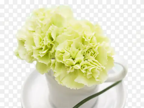 绿色惬意生活花朵杯子