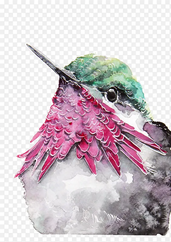 彩绘尖嘴鸟图案