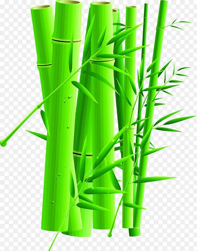 绿色竹干卡通端午
