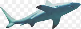 蓝色遨游海鲸设计