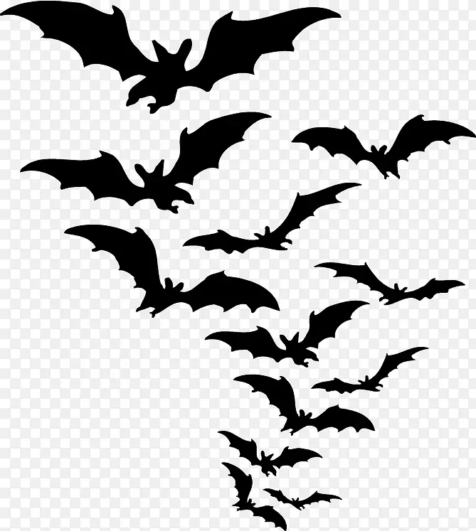 黑色蝙蝠