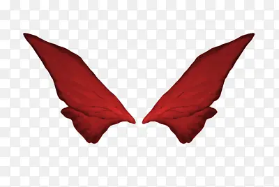红色翅膀
